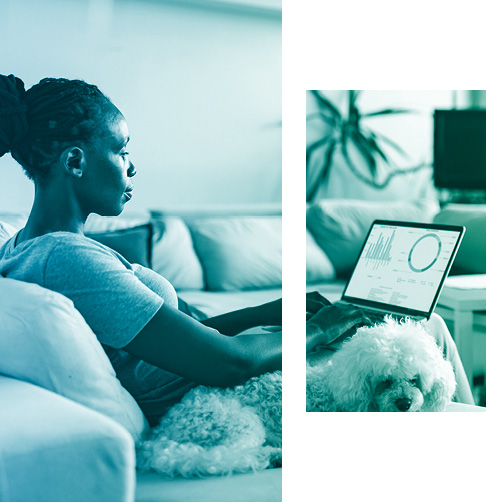Woman sitting on a couch next to her dog, looking at a laptop screen showing investment charts..